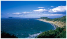 伊良湖岬の写真
