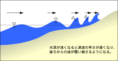 イラスト：水深が浅くなると津波の速さが遅くなり、後ろからの波が覆いかぶさるようになる。