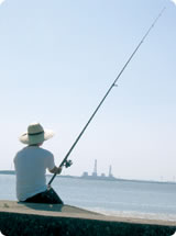 写真：魚の釣りをする人の様子