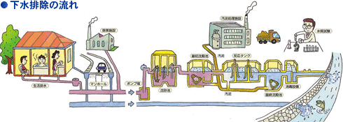 イラスト：下水排除の様子を家と地面の断面で分かりやすく表現2