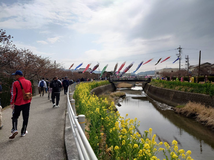 令和6年度 冬のウォーキングの様子