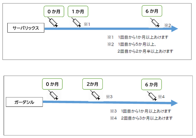 一般的な接種スケジュール