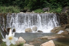 周辺の川遊びスポット