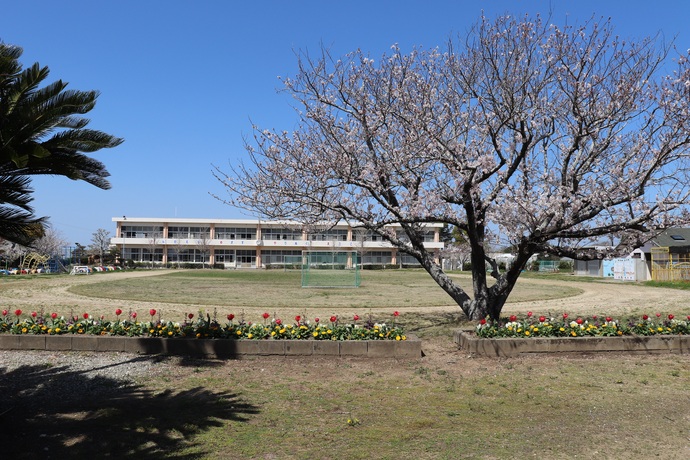 田原市立亀山小学校