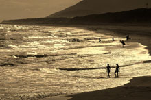 写真：夕方に太平洋ロングビーチの波打ち際で遊ぶ人たち