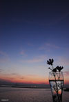 写真：夕方の三河湾