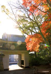 写真：秋に敷地内の木々が紅葉している3
