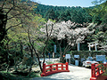 写真：滝頭公園