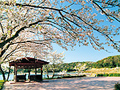 写真：初立池公園