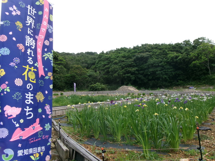 初立池 （1）