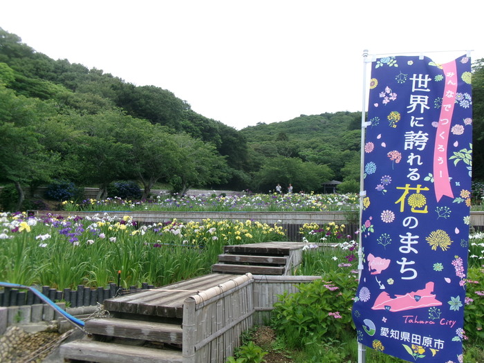 初立池 （1）
