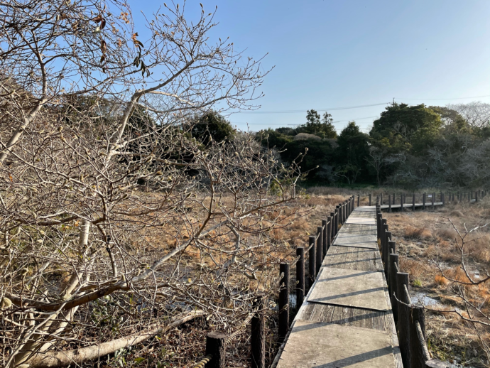 写真：黒河湿地