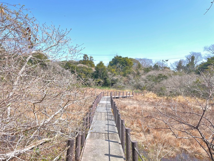 写真：黒河湿地