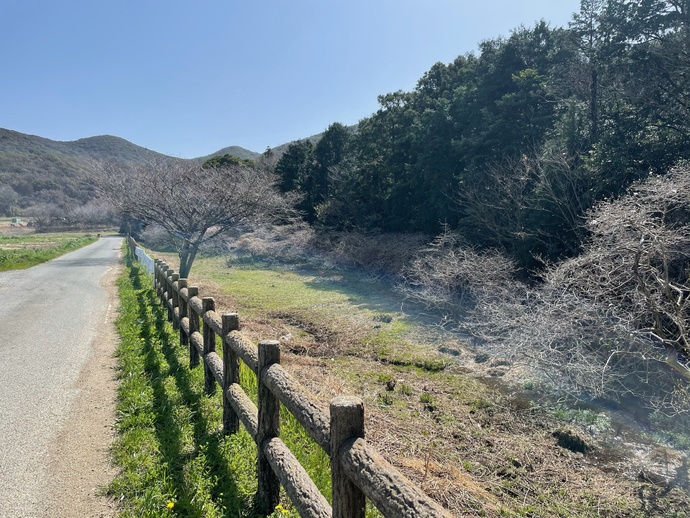 写真：伊川津