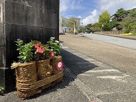 沿道の軒先に飾られた手筒花壇　