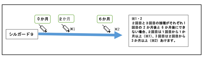 9価HPVワクチン接種方法