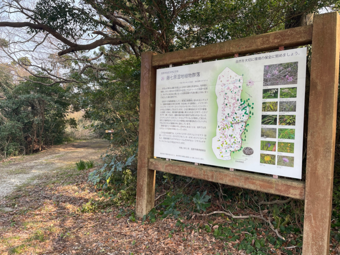 写真：藤七原湿地植物群落