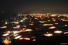 写真：電照菊のハウスがたくさんあり、夜でも光っている様子