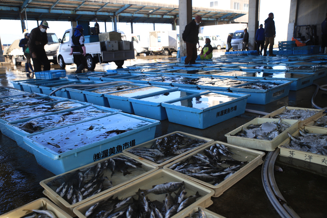 渥美魚市場