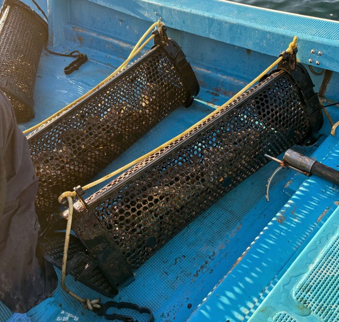 シングルシード養殖専用バスケット