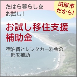 お試し移住支援補助金