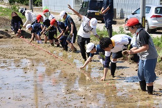 5年田植え